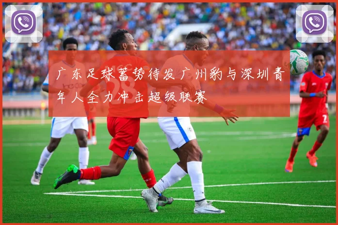 广东足球蓄势待发广州豹与深圳青年人全力冲击超级联赛