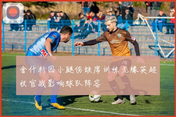 舍什科因小腿伤缺席训练无缘英超收官战影响球队阵容